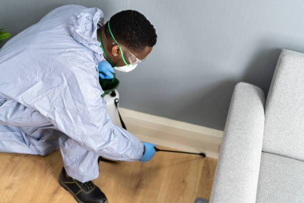 Professional Pest Control in Zwolle, LA